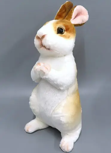 Plush - Rabbit