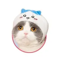 Kitan Club Cat Cap - Chiikawa / Hachiware