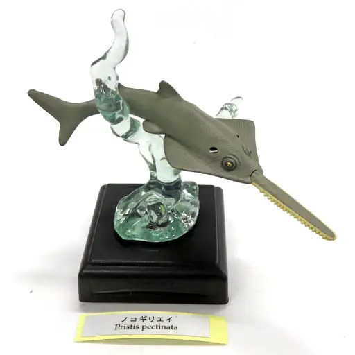 Trading Figure - Japan Aquariums / Largetooth sawfish