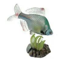 Trading Figure - Freshwater Fishes