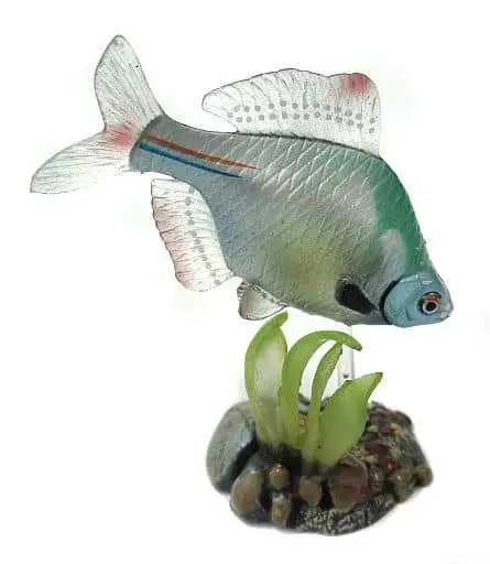 Trading Figure - Freshwater Fishes