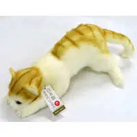 Plush - Cat