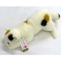 Plush - Cat