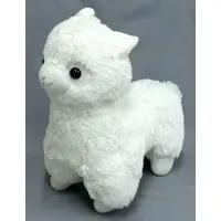 Plush - Alpacasso