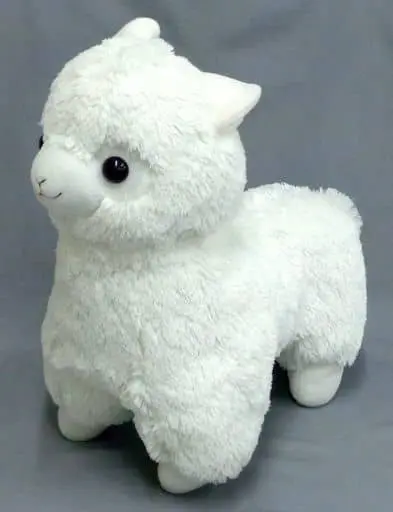 Plush - Alpacasso