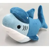 Plush - Leonardo shark collection