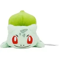 Plush - Pokémon / Bulbasaur