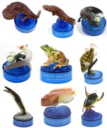 Trading Figure - Japan Aquariums