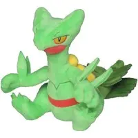 Pokemon fit - Pokémon / Sceptile