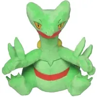 Pokemon fit - Pokémon / Sceptile