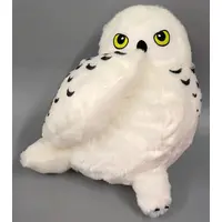 Plush - Harry Potter Series / Hedwig (Harry Potter)