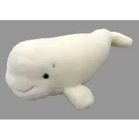 Plush - Beluga whale
