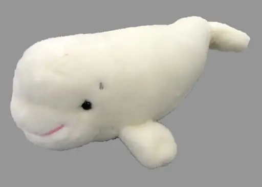 Plush - Beluga whale