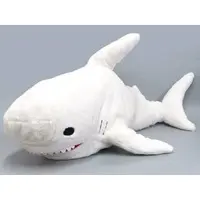 Plush - Shark