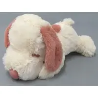 Plush - PEANUTS / Snoopy