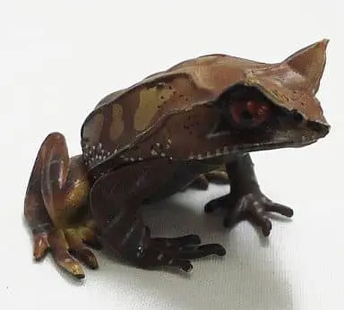 Trading Figure - Primary Color Amphibian Frog Encyclopedia