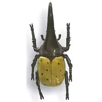 Trading Figure - Beetle collection specimen ZOOM