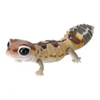 Trading Figure - Leopard Gecko