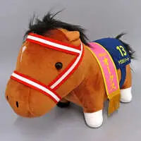 Plush - Thoroughbred collection