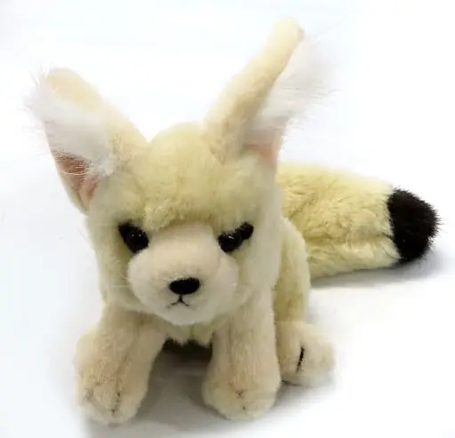 Plush - Fennec fox