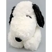 Plush - PEANUTS / Snoopy