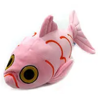 Plush - Splendid alfonsino