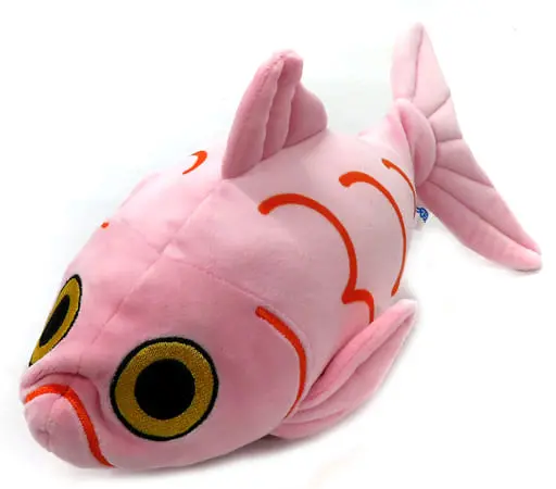 Plush - Splendid alfonsino