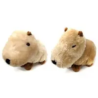 Plush - Capybara