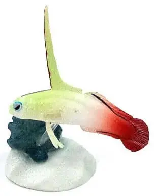 Trading Figure - Primary Color Saltwater Fish Encyclopedia