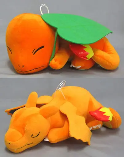 Plush - Pokémon / Charizard & Charmander