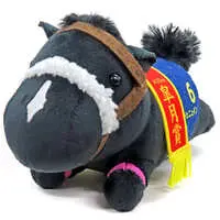 Plush - Thoroughbred collection