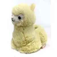 Plush - Alpacasso