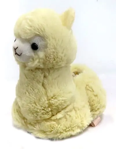 Plush - Alpacasso