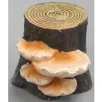 Trading Figure - Tree mushroom collection