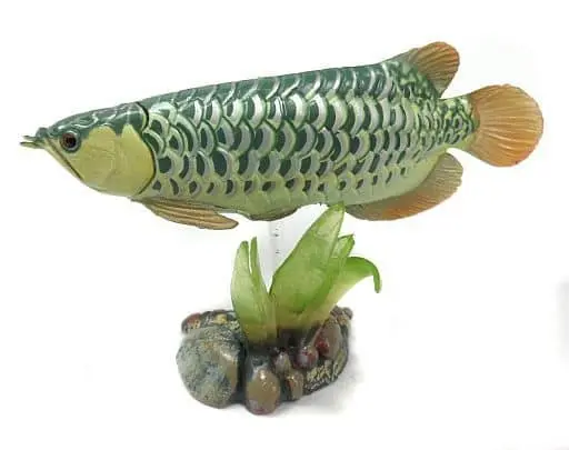 Trading Figure - Freshwater Fishes