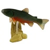 Trading Figure - Freshwater Fishes