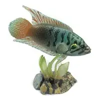 Trading Figure - Freshwater Fishes