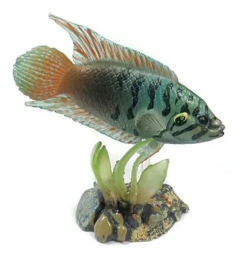 Trading Figure - Freshwater Fishes