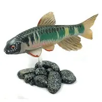 Trading Figure - Freshwater Fishes