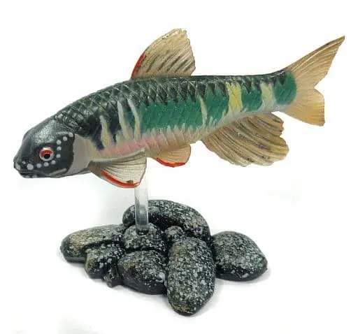 Trading Figure - Freshwater Fishes