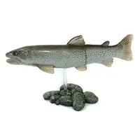 Trading Figure - Freshwater Fishes