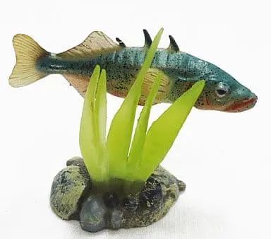 Trading Figure - Freshwater Fishes