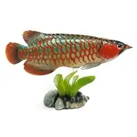 Trading Figure - Freshwater Fishes