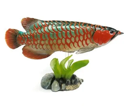 Trading Figure - Freshwater Fishes