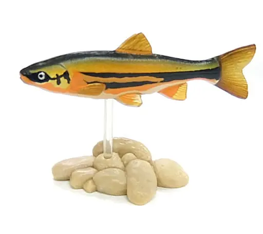 Trading Figure - Freshwater Fishes