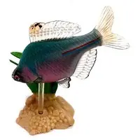 Trading Figure - Freshwater Fishes