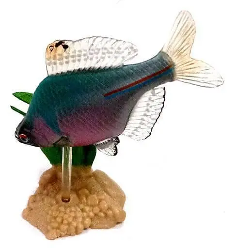 Trading Figure - Freshwater Fishes