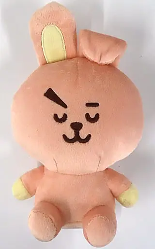 Plush - BT21