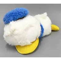 Plush - Disney / Donald Duck