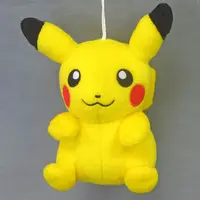 Plush - Pokémon / Pikachu